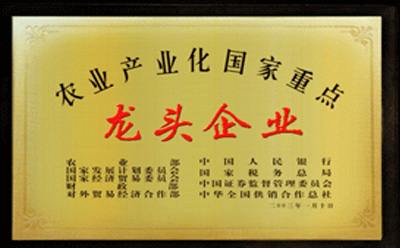 證書二