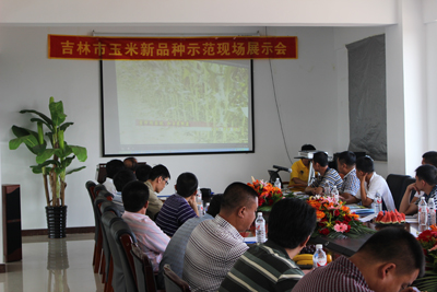 吉單631被選為吉林地區重點推廣品種